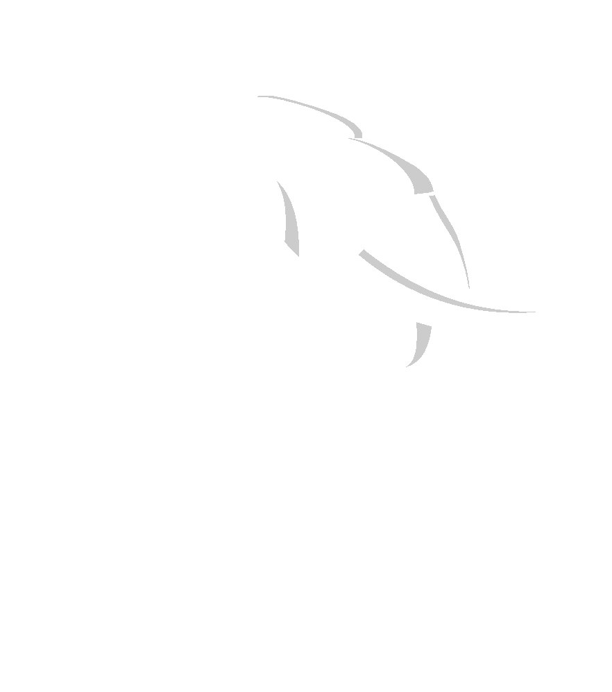 Super Duty Gutters Services