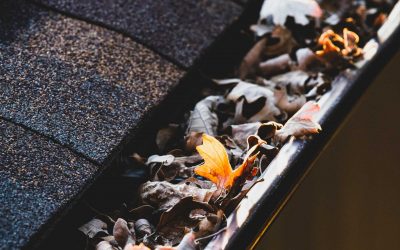 Signs Your Gutters Need Attention: Common Issues and How to Address Them with Super Duty Gutters